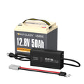 12V 50Ah Deep Cycle LiFePO4 Lithium Battery with Charger E5530