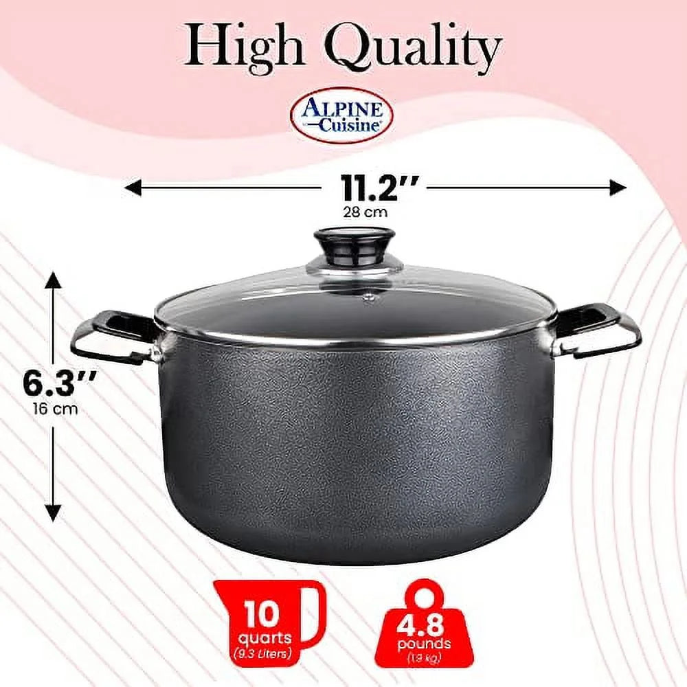 10 Quart Non-stick Aluminum Stock Pot with Glass Lid W315